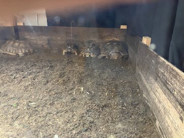 那須サファリパークに投稿された画像（2023/10/8）