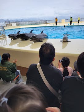 マリンワールド海の中道に投稿された画像（2023/10/8）