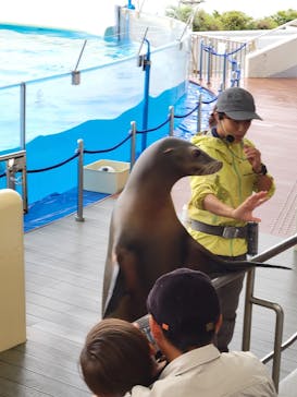 マリンワールド海の中道に投稿された画像（2023/10/8）