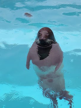 マリンワールド海の中道に投稿された画像（2023/10/8）