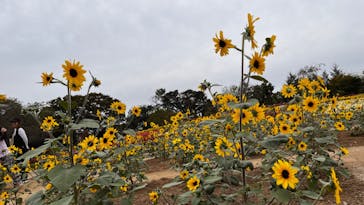 東武動物公園に投稿された画像（2023/10/9）