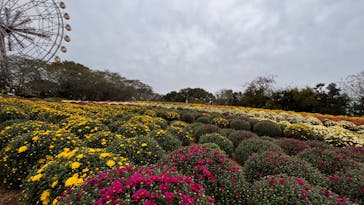 東武動物公園に投稿された画像（2023/10/9）