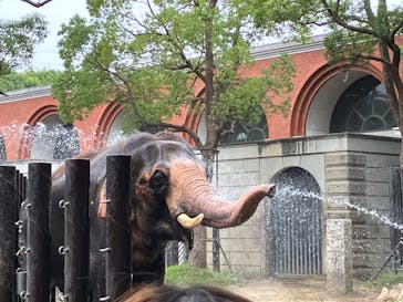 よこはま動物園ズーラシアに投稿された画像（2023/10/9）