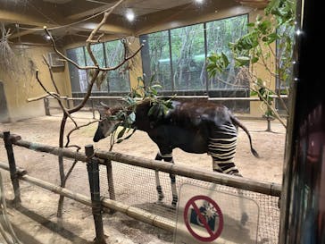 よこはま動物園ズーラシアに投稿された画像（2023/10/9）