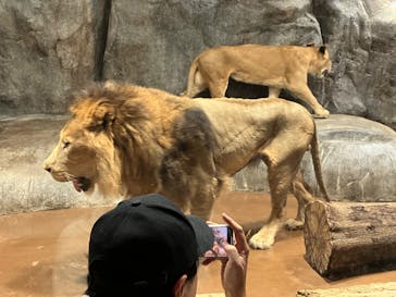 よこはま動物園ズーラシアに投稿された画像（2023/10/9）