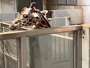 よこはま動物園ズーラシアに投稿された画像（2023/10/9）