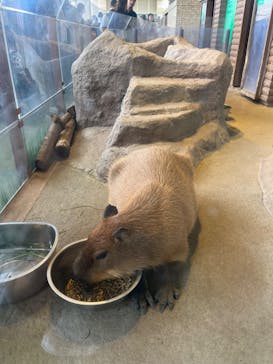 新江ノ島水族館に投稿された画像（2023/10/9）