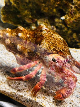 AOAO SAPPOROに投稿された画像（2023/10/9）