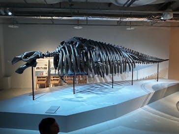 AOAO SAPPOROに投稿された画像（2023/10/9）