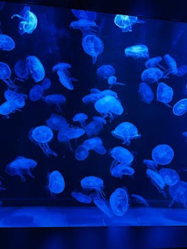 AOAO SAPPOROに投稿された画像（2023/10/9）