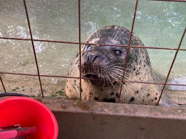 那須どうぶつ王国に投稿された画像（2023/10/9）