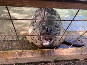 那須どうぶつ王国に投稿された画像（2023/10/9）