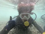 武藤潜水に投稿された画像（2023/10/9）