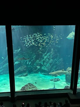 マリンワールド海の中道に投稿された画像（2023/10/9）
