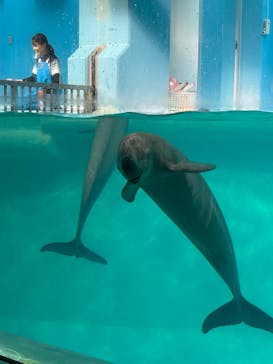 マリンワールド海の中道に投稿された画像（2023/10/9）