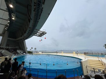 マリンワールド海の中道に投稿された画像（2023/10/9）