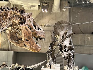 特別展「海　―生命のみなもと―」（国立科学博物館）に投稿された画像（2023/10/9）