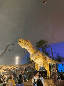 福井県立恐竜博物館に投稿された画像（2023/10/9）
