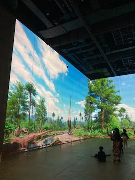 福井県立恐竜博物館に投稿された画像（2023/10/9）