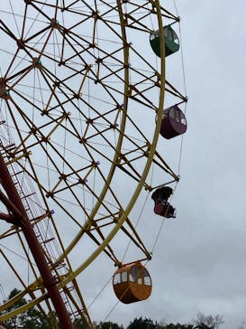 レオマリゾートに投稿された画像（2023/10/9）