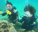 武藤潜水に投稿された画像（2023/10/9）