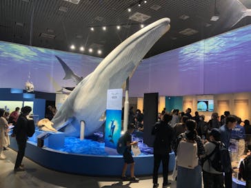 特別展「海　―生命のみなもと―」（国立科学博物館）に投稿された画像（2023/10/8）