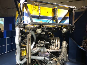 特別展「海　―生命のみなもと―」（国立科学博物館）に投稿された画像（2023/10/8）