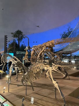 福井県立恐竜博物館に投稿された画像（2023/10/9）