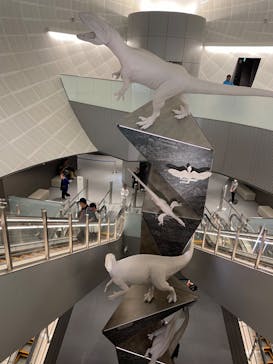 福井県立恐竜博物館に投稿された画像（2023/10/9）