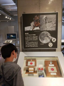 国立科学博物館に投稿された画像（2023/10/9）