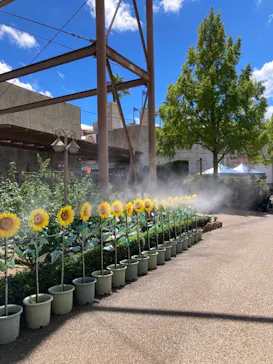 ひらかたパークに投稿された画像（2023/10/9）