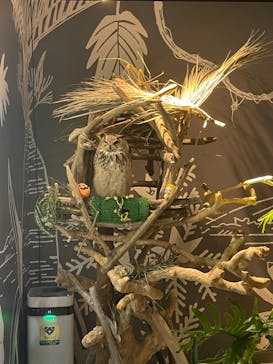 カワスイ 川崎⽔族館に投稿された画像（2023/10/9）