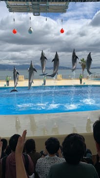 マリンワールド海の中道に投稿された画像（2023/10/9）