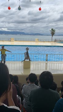 マリンワールド海の中道に投稿された画像（2023/10/9）