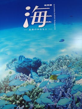 特別展「海　―生命のみなもと―」（国立科学博物館）に投稿された画像（2023/10/9）