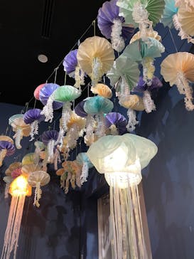 環境水族館アクアマリンふくしまに投稿された画像（2023/10/9）