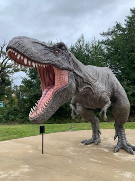 福井県立恐竜博物館に投稿された画像（2023/10/9）