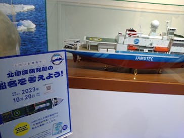 特別展「海　―生命のみなもと―」（国立科学博物館）に投稿された画像（2023/10/9）