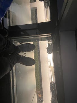 ハルカス300(展望台)に投稿された画像（2023/10/9）