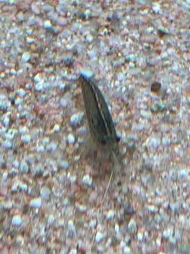 AOAO SAPPOROに投稿された画像（2023/10/9）