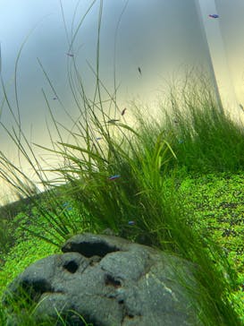 AOAO SAPPOROに投稿された画像（2023/10/9）