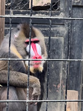 到津の森公園に投稿された画像（2023/10/9）