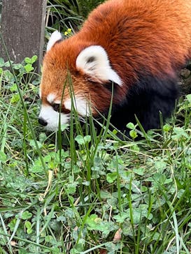 到津の森公園に投稿された画像（2023/10/9）