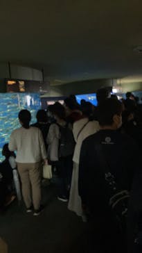 アクアワールド茨城県大洗水族館に投稿された画像（2023/10/9）