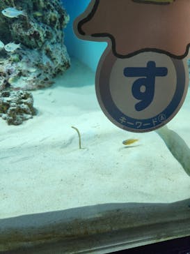 アクアワールド茨城県大洗水族館に投稿された画像（2023/10/9）