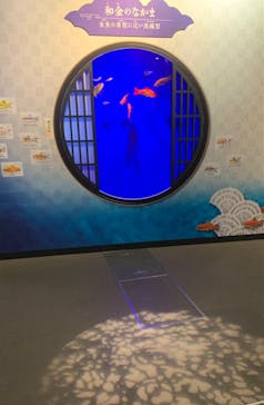 世界淡水魚園水族館　アクア・トトぎふに投稿された画像（2023/10/9）
