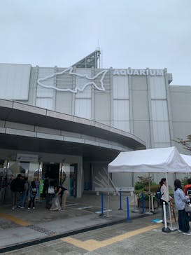 世界淡水魚園水族館　アクア・トトぎふに投稿された画像（2023/10/9）