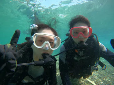 武藤潜水に投稿された画像（2023/10/9）