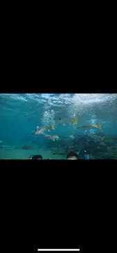 武藤潜水に投稿された画像（2023/10/9）