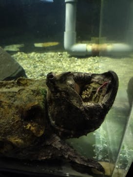 箱根園水族館に投稿された画像（2023/10/9）